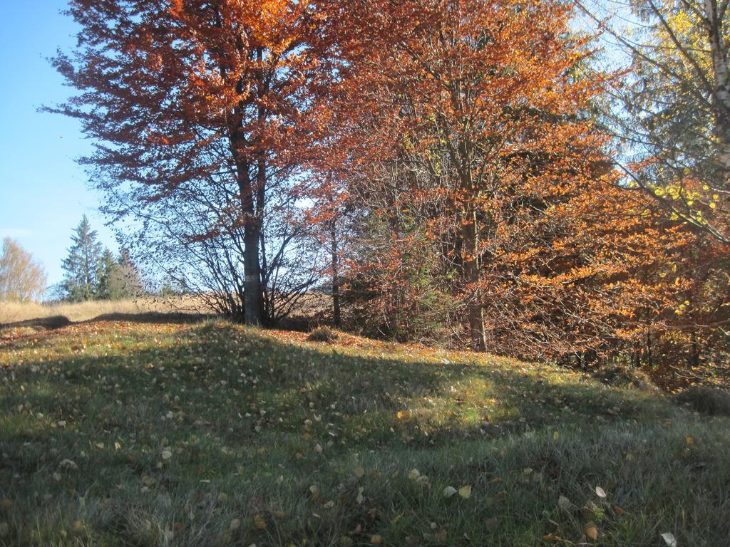 Guest House Stari Druzy Szlavszke Kültér fotó